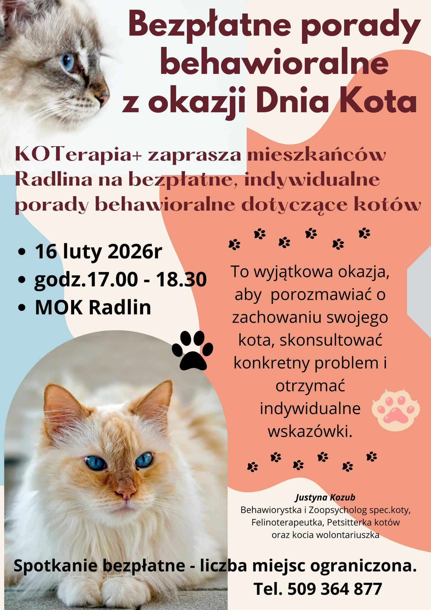 Pllakat - Dzień Kota